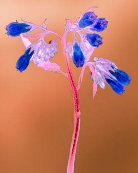 F 057D